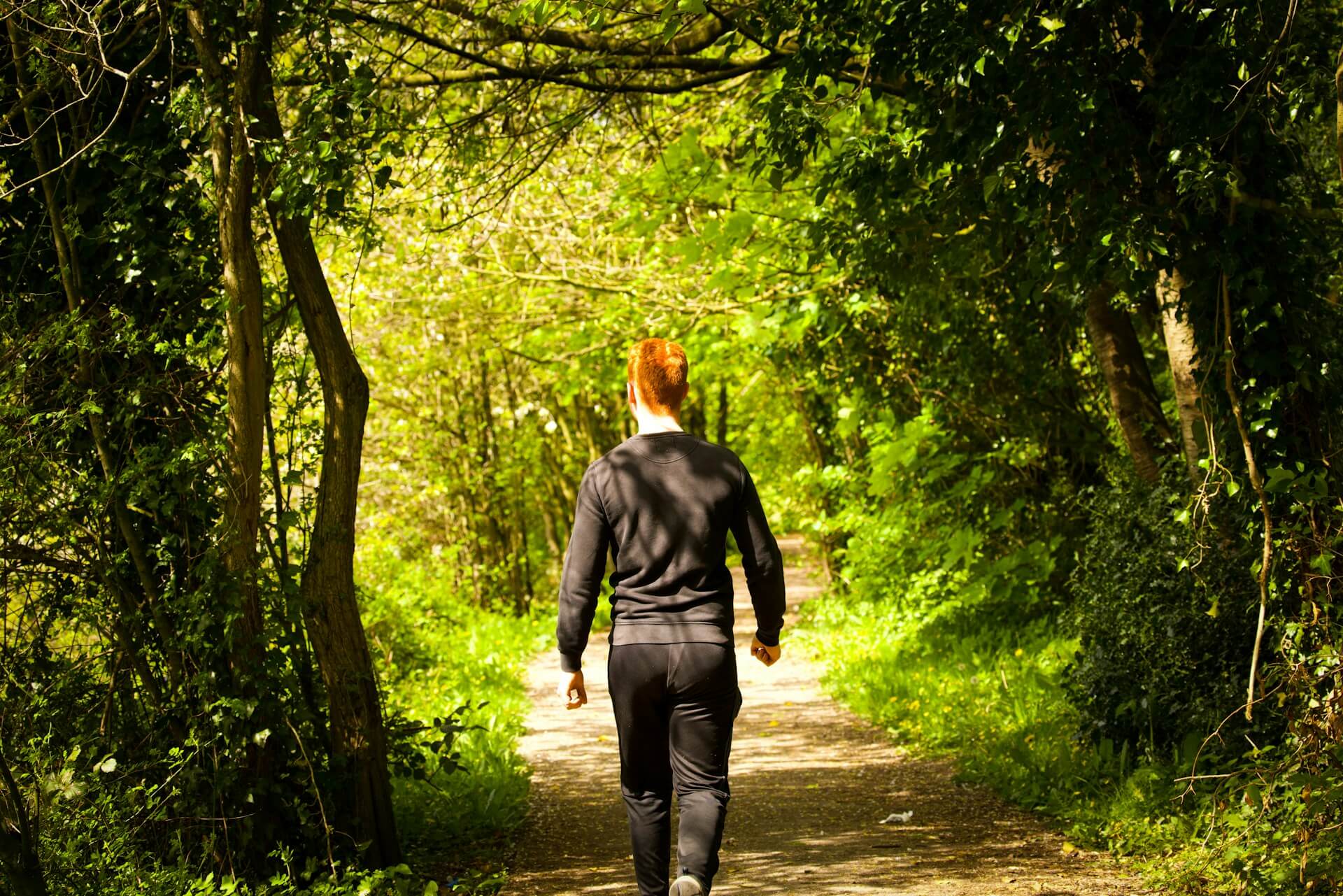Man walking into a forest
